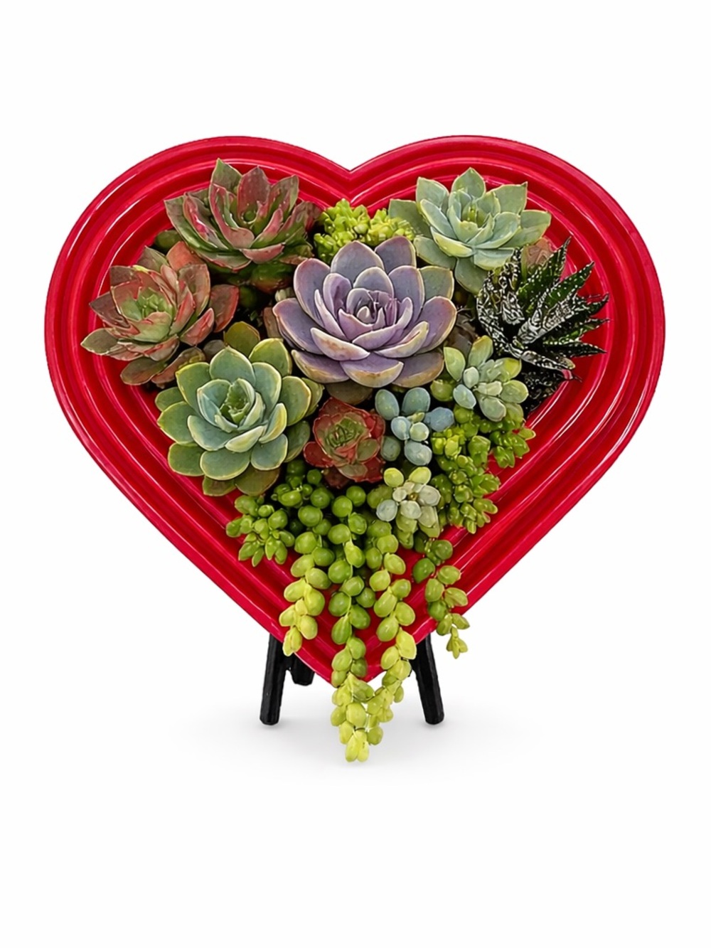 Heart-Shaped Vertical Planter Kit (Red) - Portrait Gardens - Picture 2 of 11
